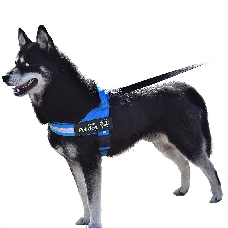 Dog Walking Chain Leash Dog