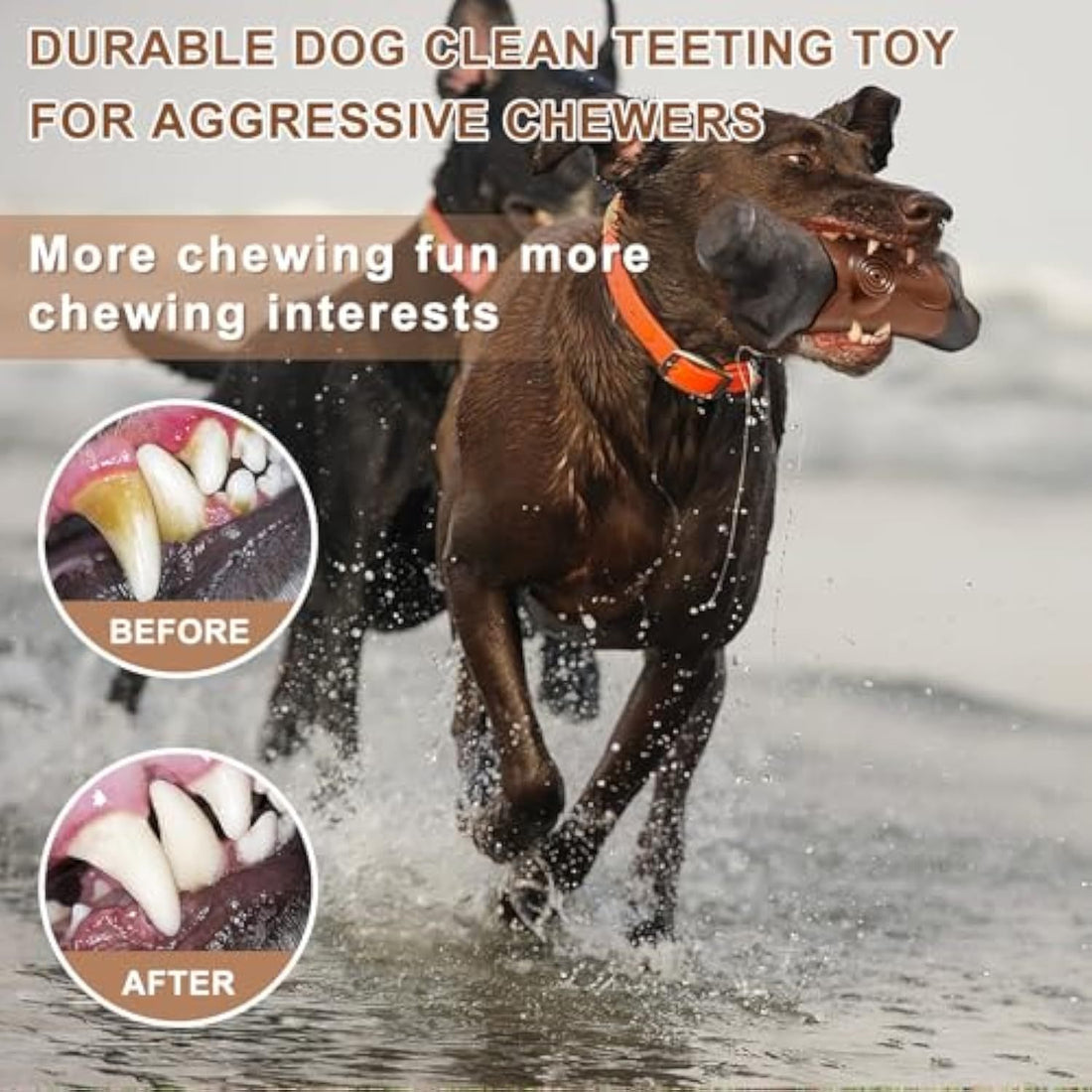 Aggressive Chewers Large Breed Dog Toys