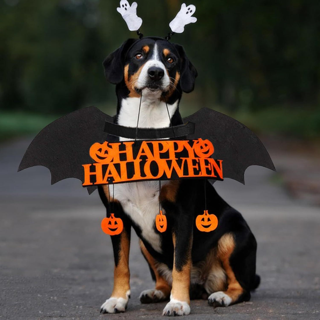 Dog Bat Costume Cool Luminous Clothing