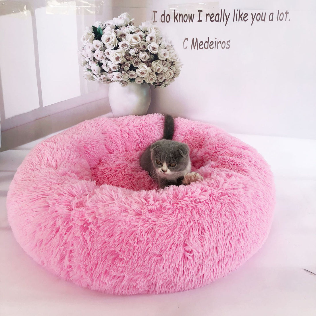 Small Dogs Round Plush Mat Puppy Beds